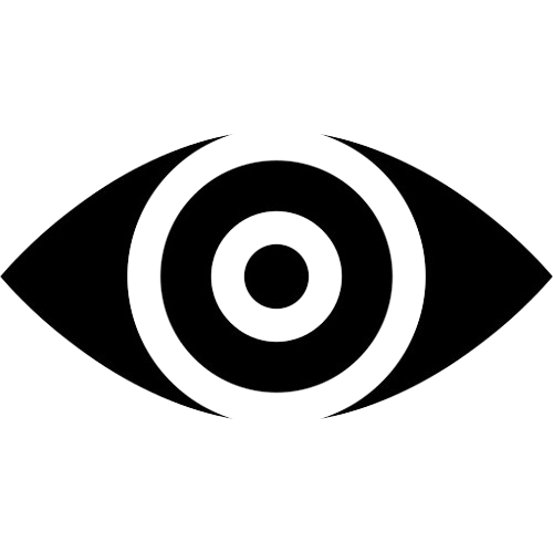 Vision Icon